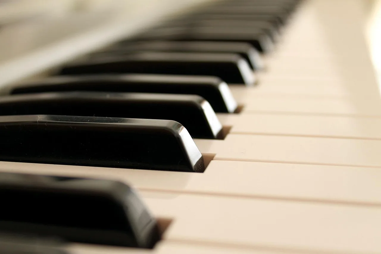 Close-up of piano keys Close-up of piano keys