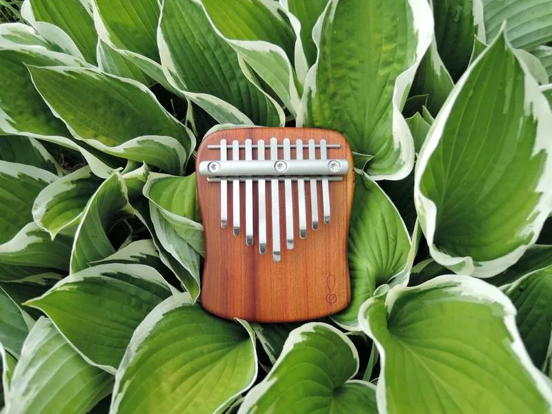 Best kalimba: top brands ranked