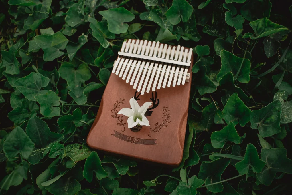 Kalimba Nature et Découvertes : que vaut la marque