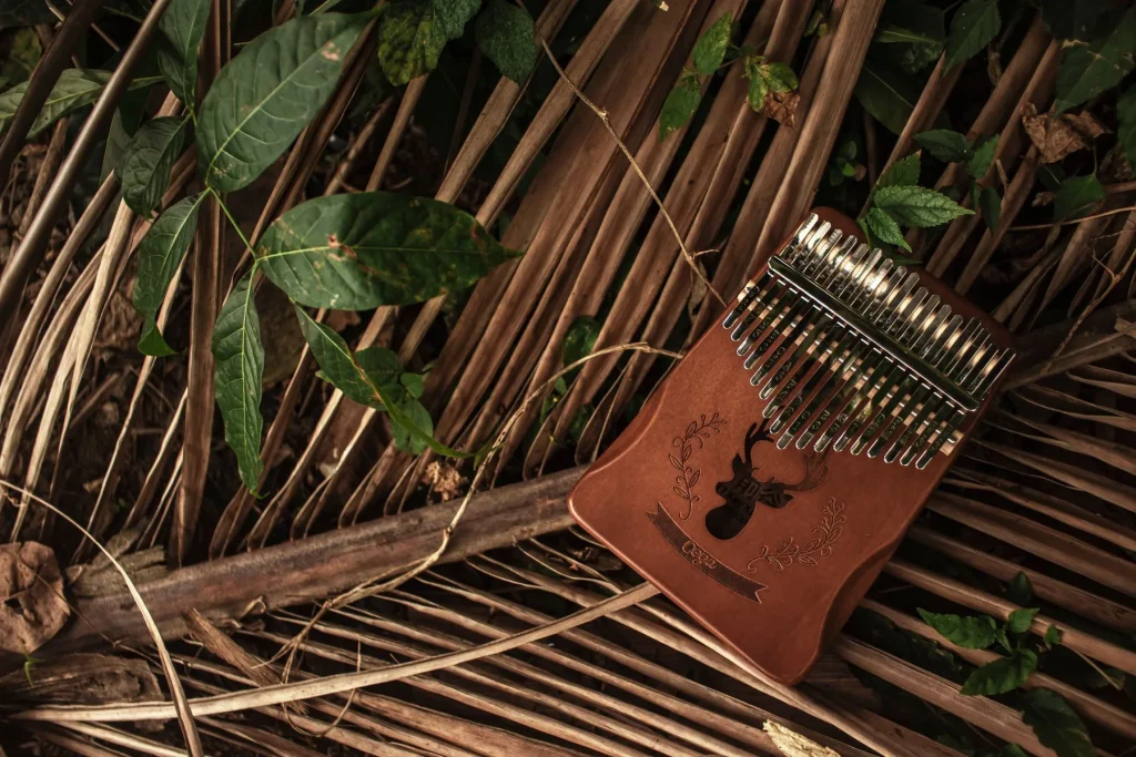 Learning the Kalimba: A Beginner’s Method