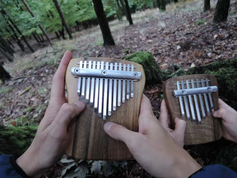 Essential Accessories for Maintaining Your Kalimba
