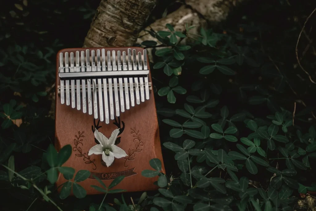 Comparatif des meilleurs kalimbas pas chers